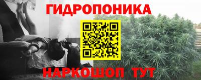прущая мука Моздок