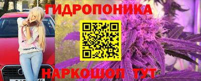 гидропоника Можайск